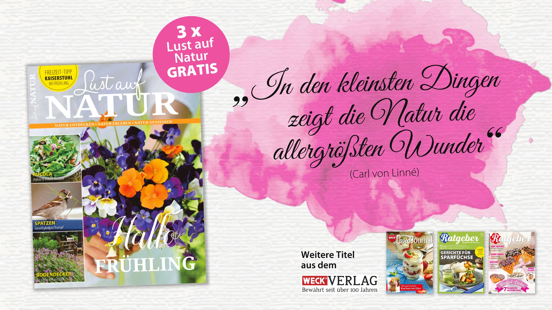 WECK_Header_Homepage_NEU
